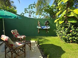 Kite and dreaming beach