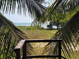 Kite and dreaming beach