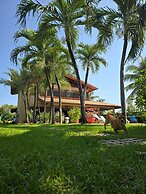 Kite and dreaming beach