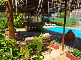 Kite and dreaming beach