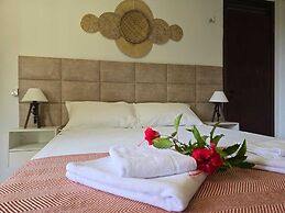 Kite and dreaming beach