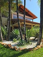 Kite and dreaming beach