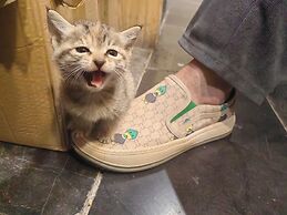 Only waiting for you