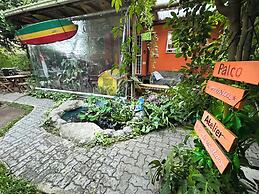 Quintal do Contêiner