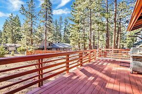 Mockingbird in Moonlight #2527