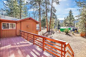 Mockingbird in Moonlight #2527