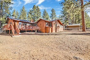 Mockingbird in Moonlight #2527