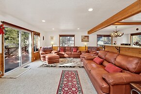 Mockingbird in Moonlight #2527