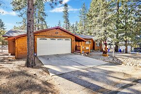 Mockingbird in Moonlight #2527