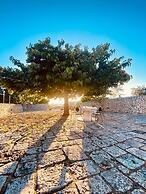 Mastro Vanni - Urban Masseria