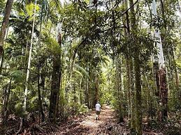 Escape to Warner's Hidden Gem - Private Pool & Relaxing Oasis