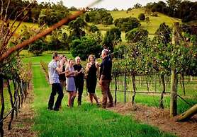 Escape to Warner's Hidden Gem - Private Pool & Relaxing Oasis