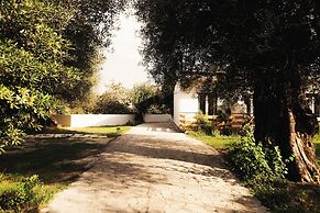 Olive Grove Suites Boutique Hotel