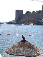 Surfer Caravan Gastro Pub and Suites