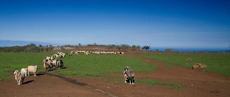 House Altos de Gáldar
