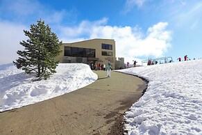 Moonlit Forest Retreat   Fireside Nights (113420771)