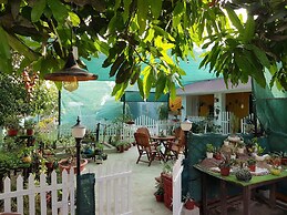 Koko's Farm