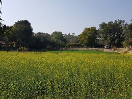 Koko's Farm
