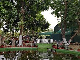 Koko's Farm