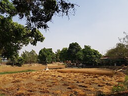Koko's Farm