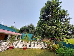 Koko's Farm
