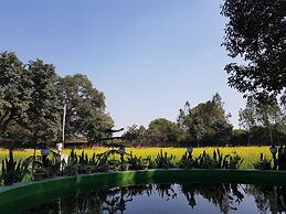 Koko's Farm