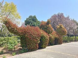 Zhong Zhou Elegance Hotel