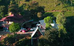 The Breeze Resort