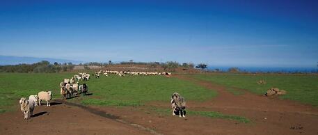 Seaside Bliss Villa in Fagajesto