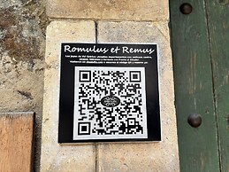 Departamento Remus