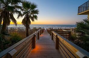 Palms 915- Premier Beachfront Condo