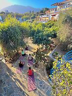 Pantheon Apartments & Studios