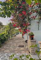 Pantheon Apartments & Studios