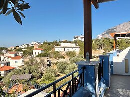 Pantheon Apartments & Studios