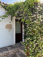 Pantheon Apartments & Studios