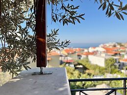 Pantheon Apartments & Studios