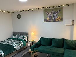 Serene Garden Room Suite City Centre