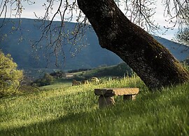 Scenic Villa in Assisi With Pool