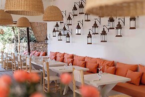 La Mouette et les Dromadaires