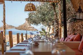 La Mouette et les Dromadaires