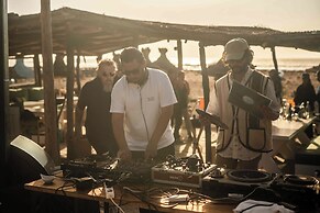 La Mouette et les Dromadaires