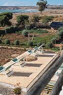 La Mouette et les Dromadaires