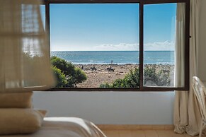 La Mouette et les Dromadaires