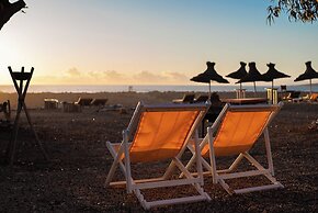 La Mouette et les Dromadaires