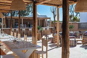 La Mouette et les Dromadaires