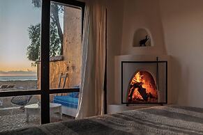 La Mouette et les Dromadaires