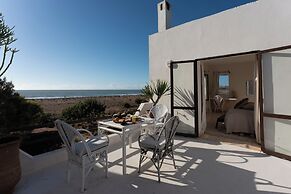 La Mouette et les Dromadaires