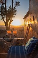 La Mouette et les Dromadaires