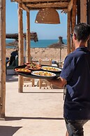 La Mouette et les Dromadaires