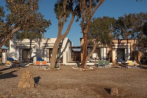 La Mouette et les Dromadaires